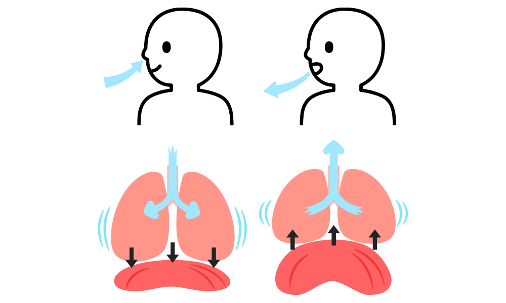 肩コリ予防の呼吸法